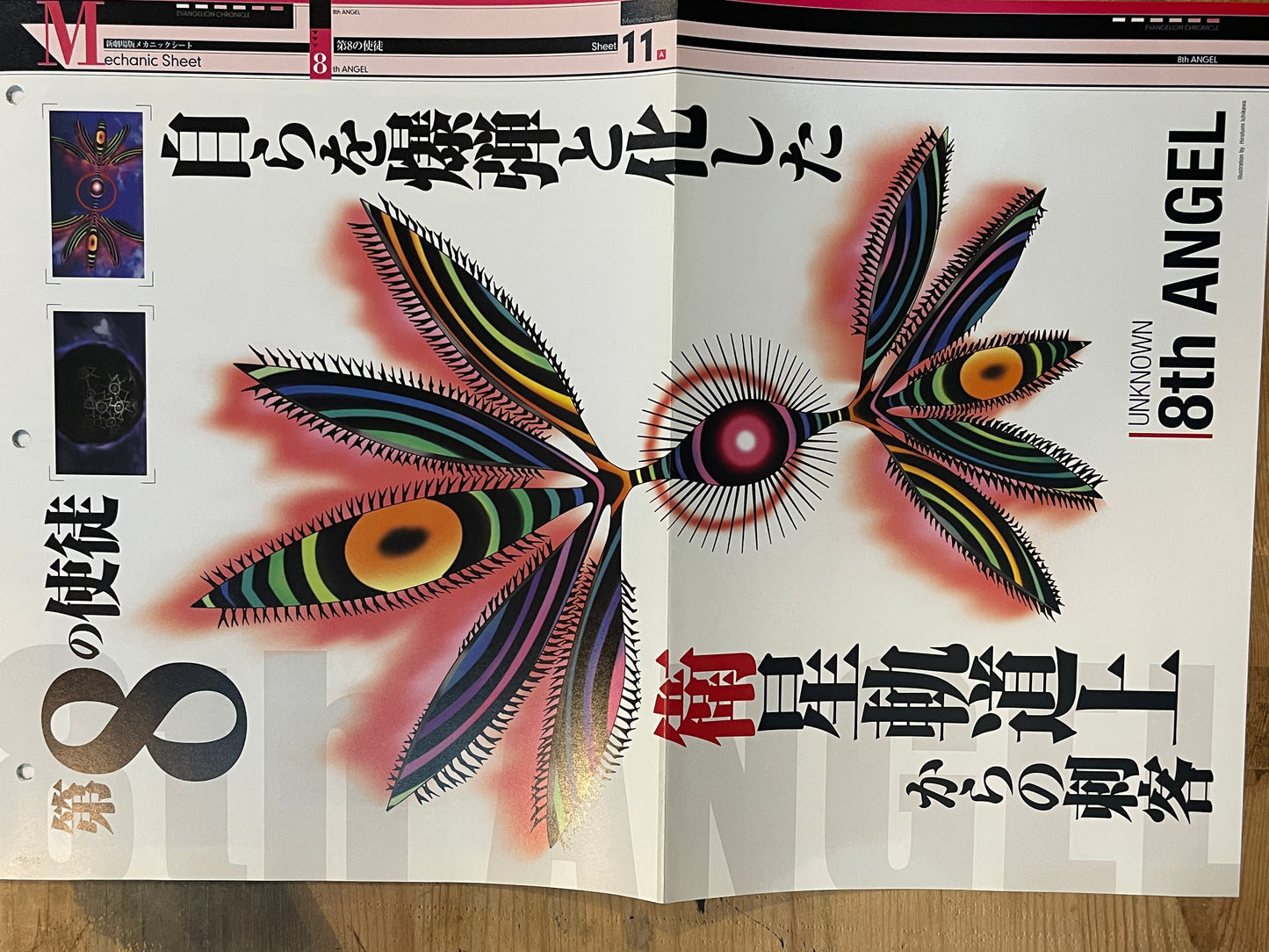 EVANGELION CHRONICLE Revised Vol.39 (2010) – Japan Anime Mook｜Neon Genesis Evangelion