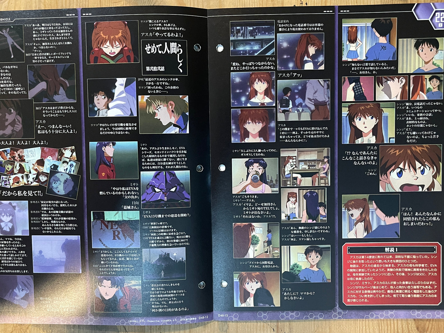 EVANGELION CHRONICLE Revised Vol.48 (2011) – Japan Anime Mook｜Neon Genesis Evangelion