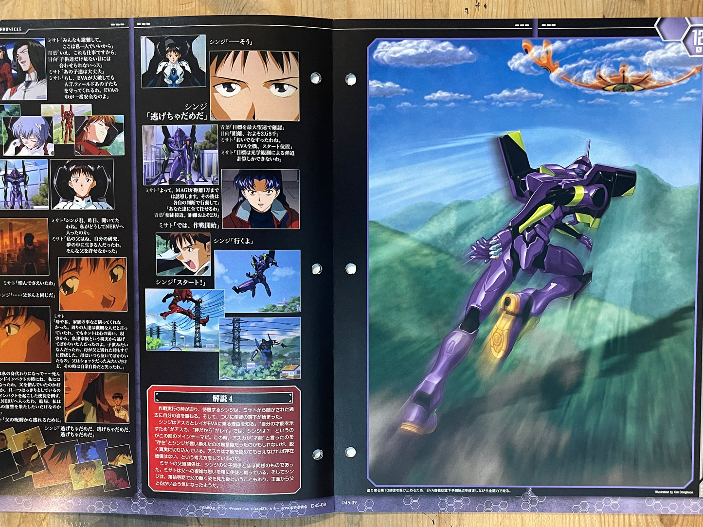 EVANGELION CHRONICLE Revised Vol.45 (2010) – Japan Anime Mook｜Neon Genesis Evangelion