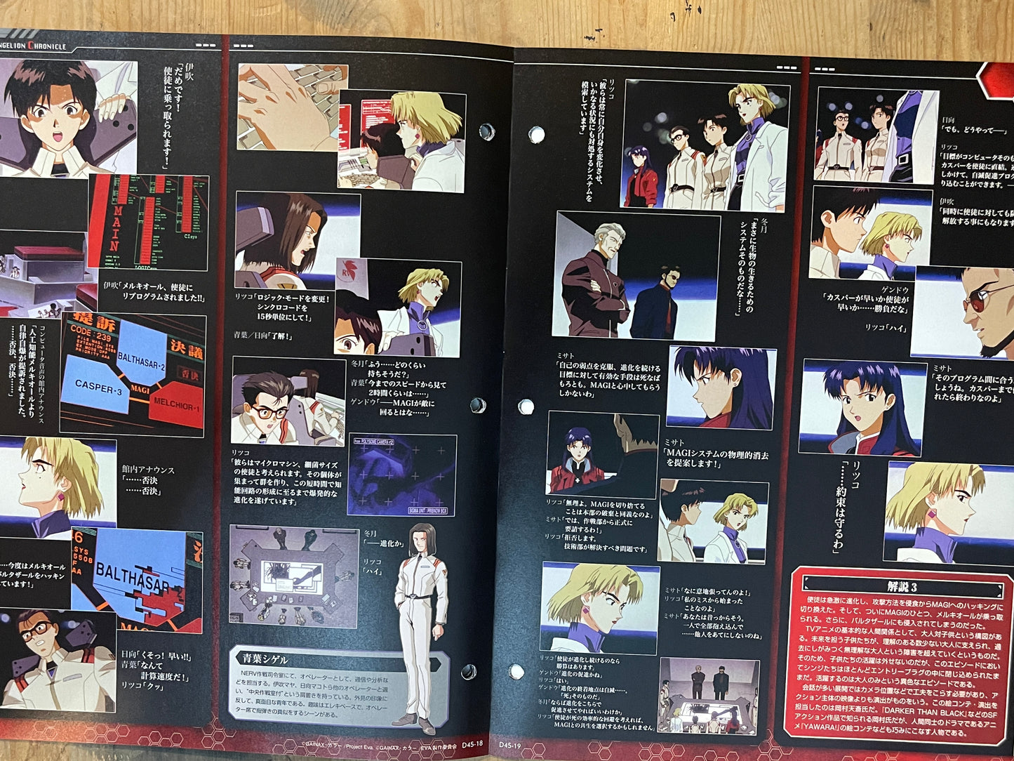 EVANGELION CHRONICLE Revised Vol.45 (2010) – Japan Anime Mook｜Neon Genesis Evangelion