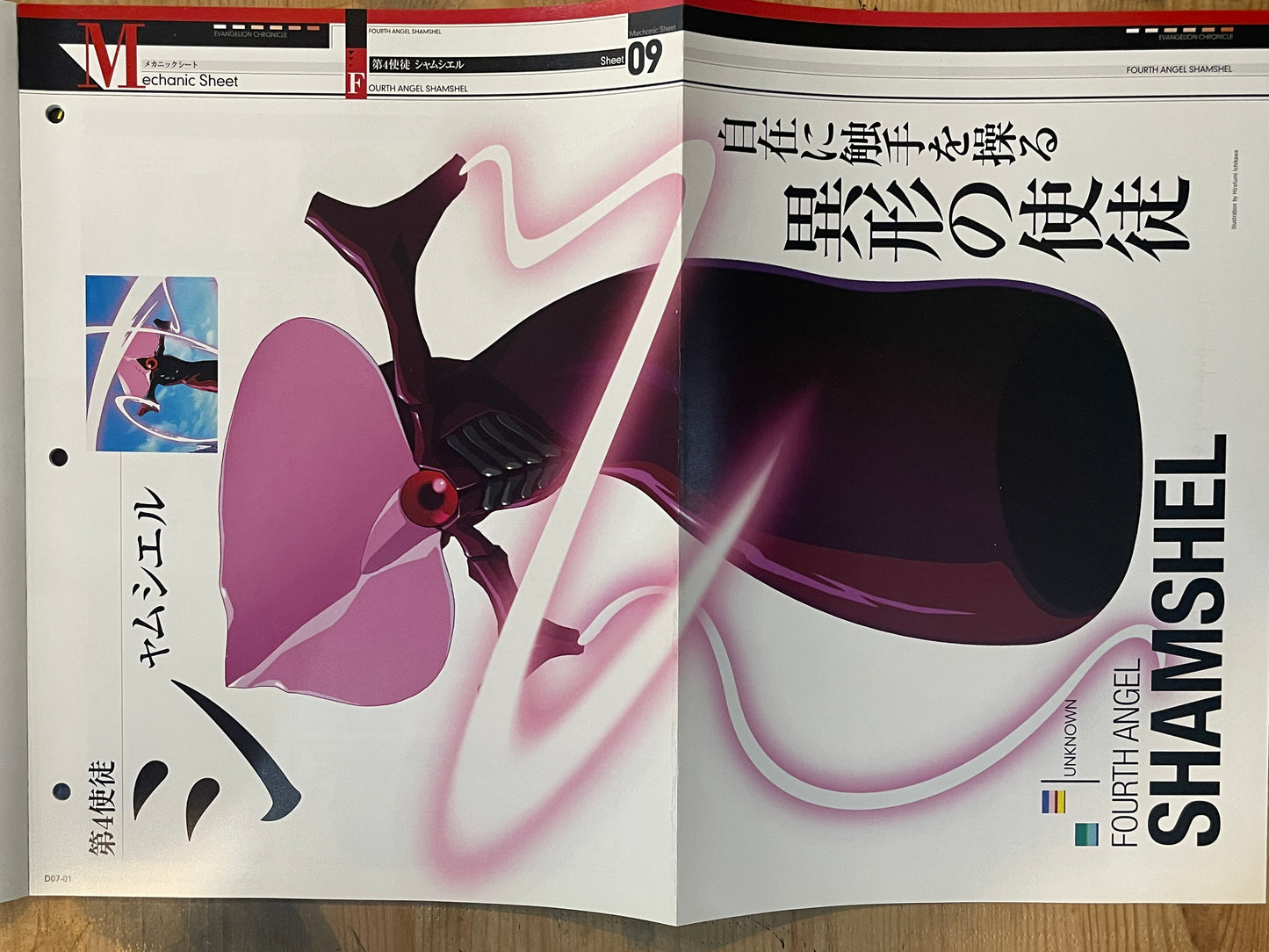 EVANGELION CHRONICLE Revised Vol.07 (2010) – Japan Anime Mook｜Neon Genesis Evangelion