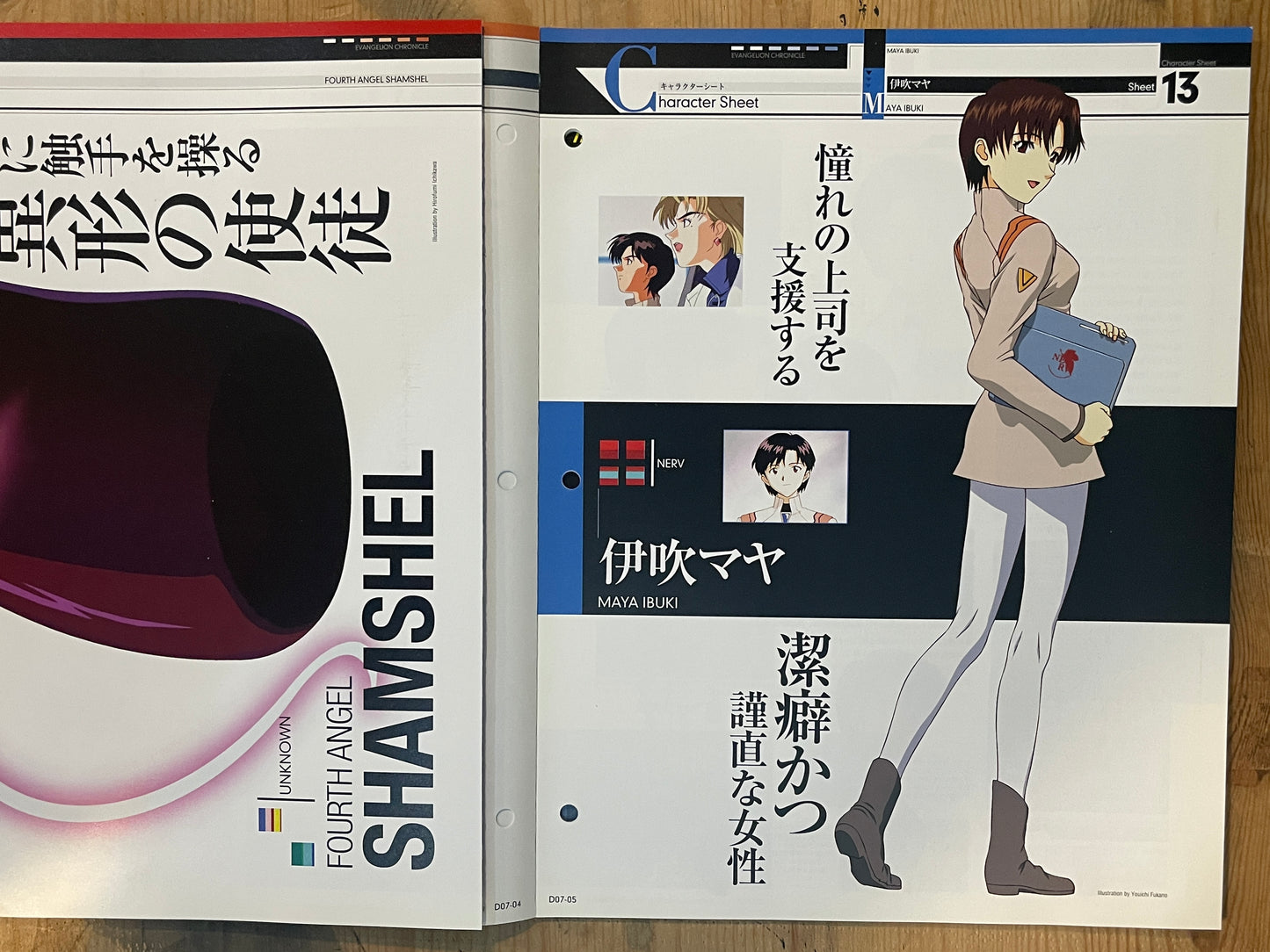 EVANGELION CHRONICLE Revised Vol.07 (2010) – Japan Anime Mook｜Neon Genesis Evangelion