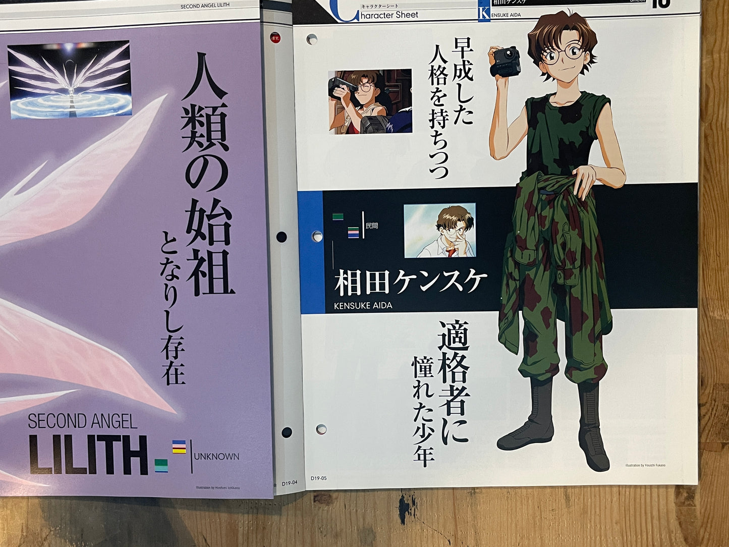 EVANGELION CHRONICLE Revised Vol.19 (2010) – Japan Anime Mook｜Neon Genesis Evangelion