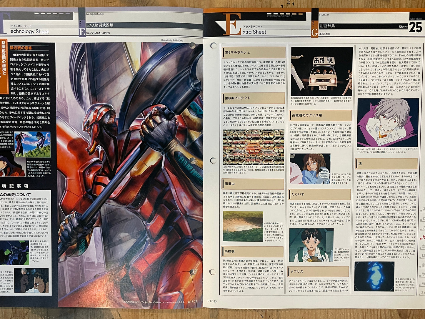 EVANGELION CHRONICLE Revised Vol.17 (2010) – Japan Anime Mook｜Neon Genesis Evangelion