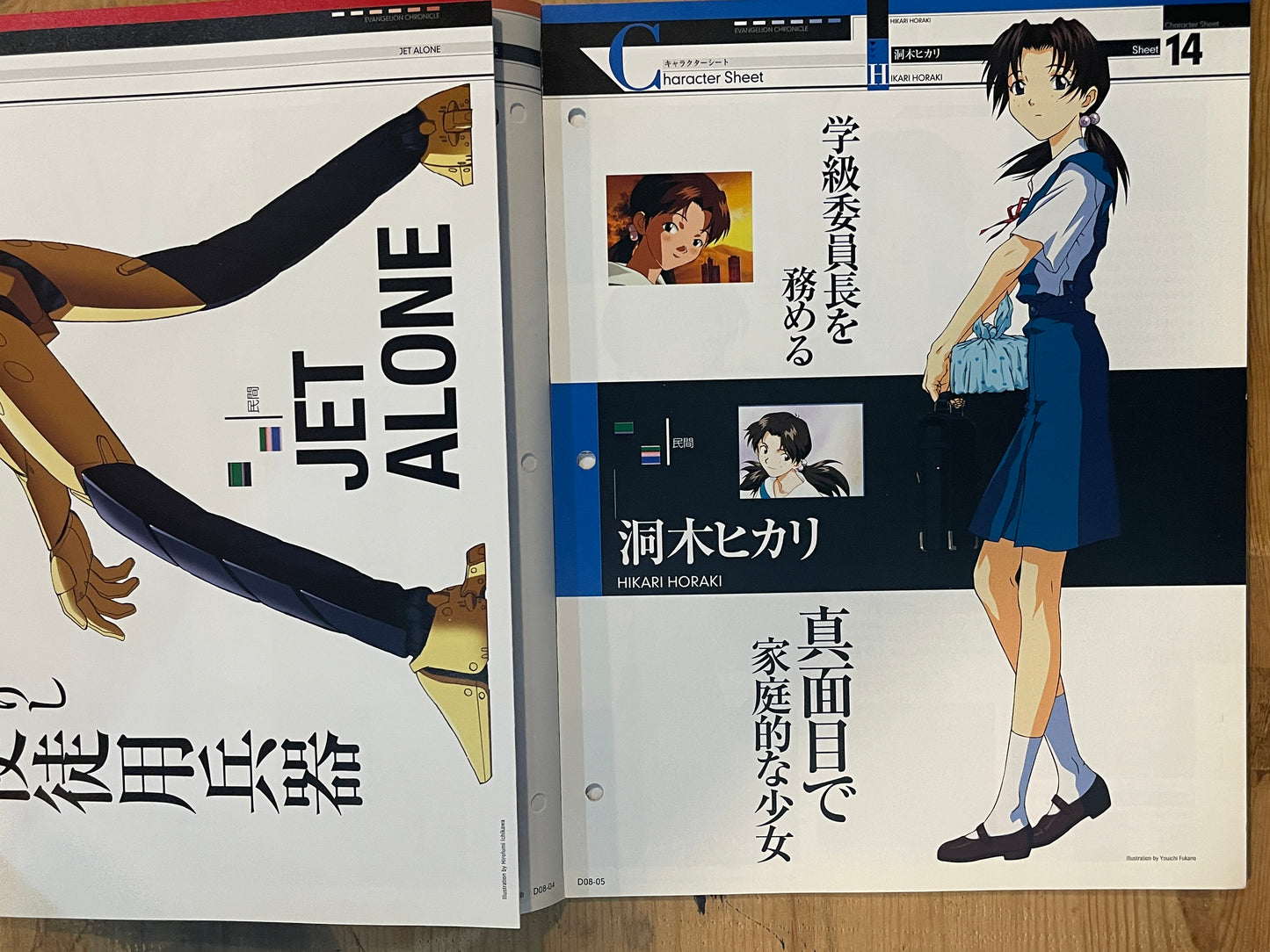EVANGELION CHRONICLE Revised Vol.08 (2010) – Japan Anime Mook｜Neon Genesis Evangelion