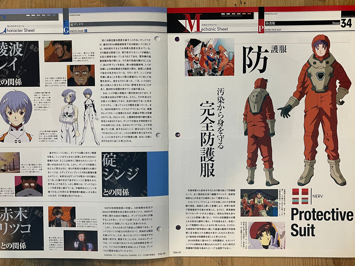 EVANGELION CHRONICLE Revised Vol.06 (2010) – Japan Anime Mook｜Neon Genesis Evangelion