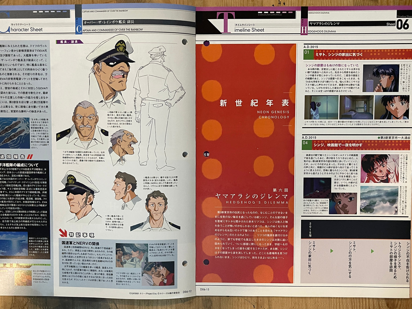 EVANGELION CHRONICLE Revised Vol.06 (2010) – Japan Anime Mook｜Neon Genesis Evangelion