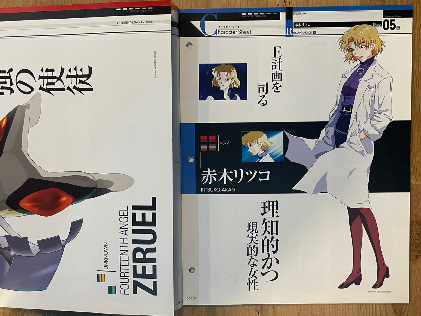 EVANGELION CHRONICLE Revised Vol.05 (2010) – Japan Anime Mook｜Neon Genesis Evangelion