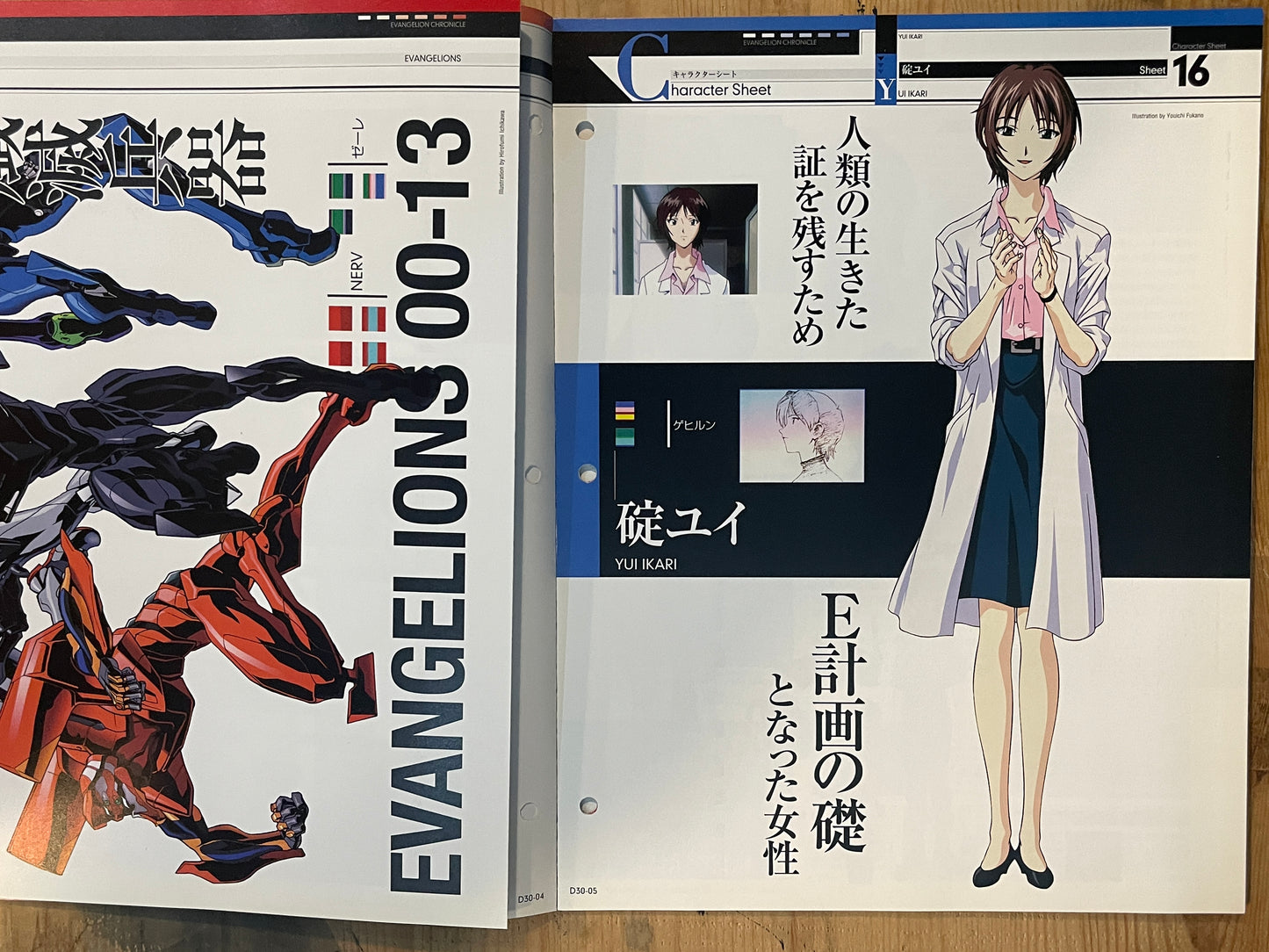 EVANGELION CHRONICLE Revised Vol.30 (2010) – Japan Anime Mook｜Neon Genesis Evangelion