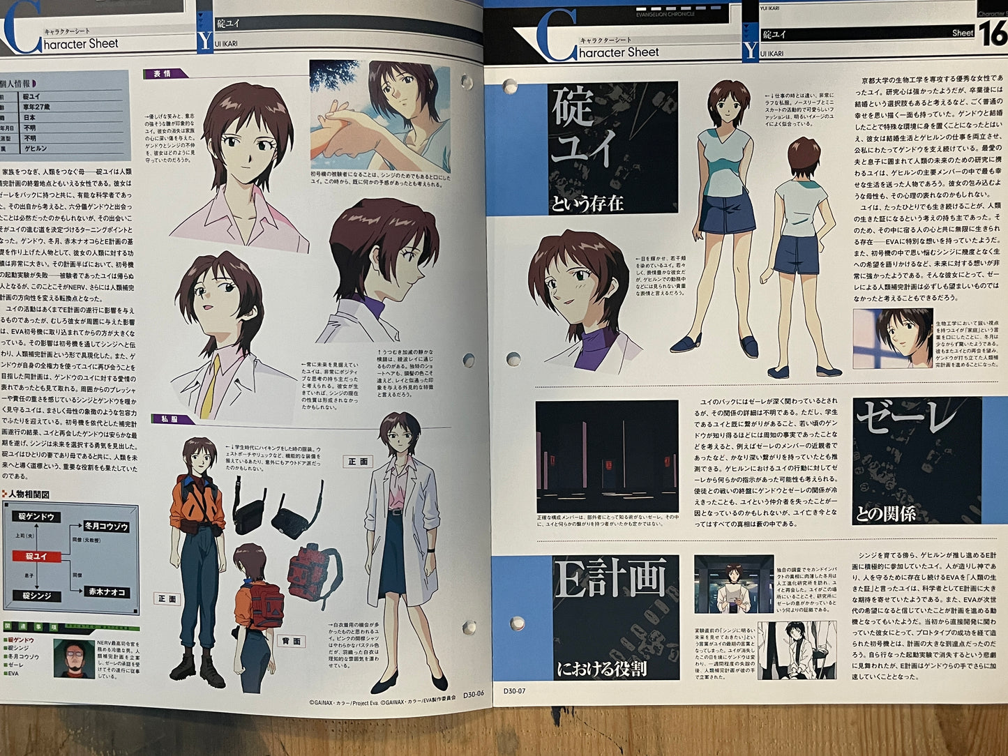 EVANGELION CHRONICLE Revised Vol.30 (2010) – Japan Anime Mook｜Neon Genesis Evangelion