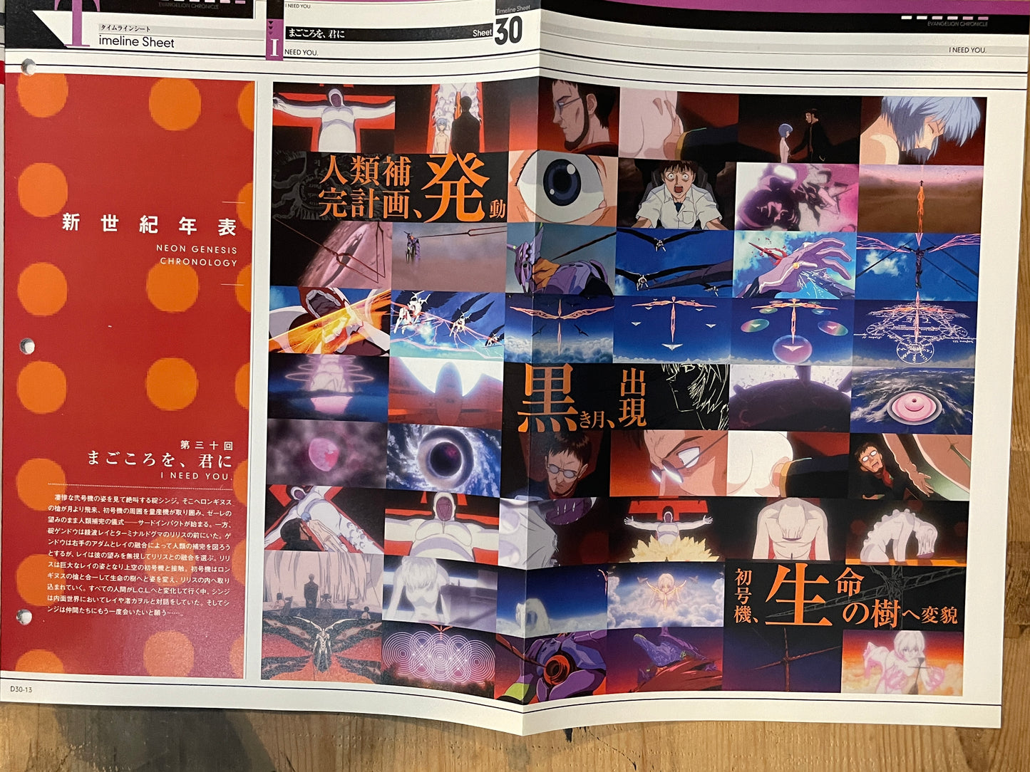 EVANGELION CHRONICLE Revised Vol.30 (2010) – Japan Anime Mook｜Neon Genesis Evangelion