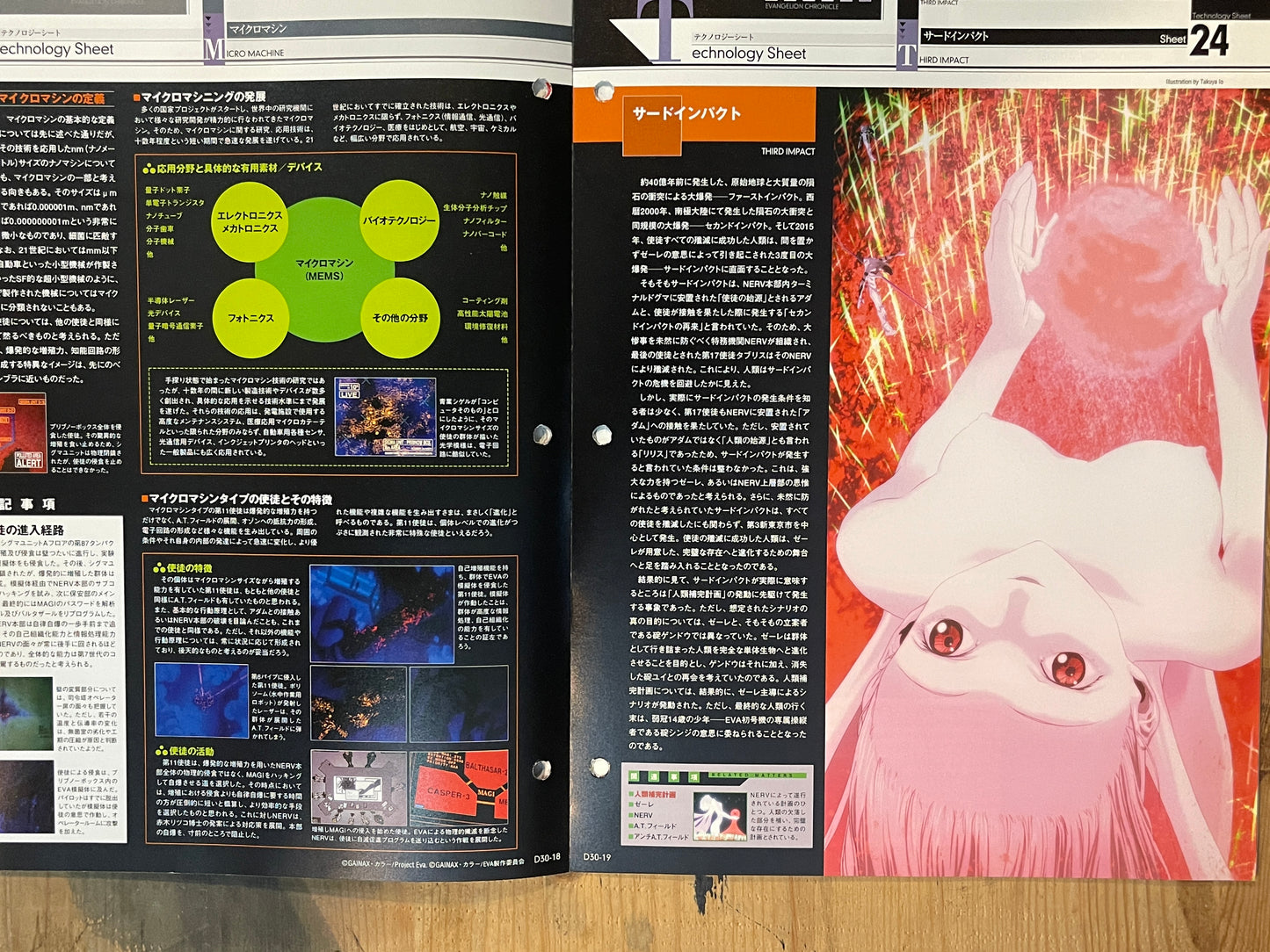 EVANGELION CHRONICLE Revised Vol.30 (2010) – Japan Anime Mook｜Neon Genesis Evangelion