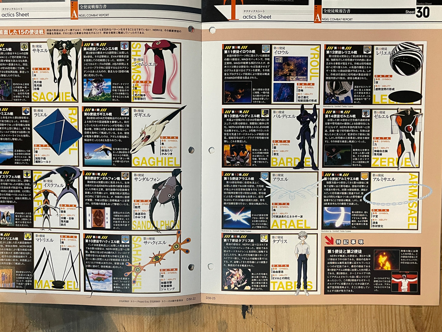 EVANGELION CHRONICLE Revised Vol.30 (2010) – Japan Anime Mook｜Neon Genesis Evangelion