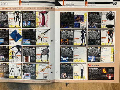 EVANGELION CHRONICLE Revised Vol.30 (2010) – Japan Anime Mook｜Neon Genesis Evangelion