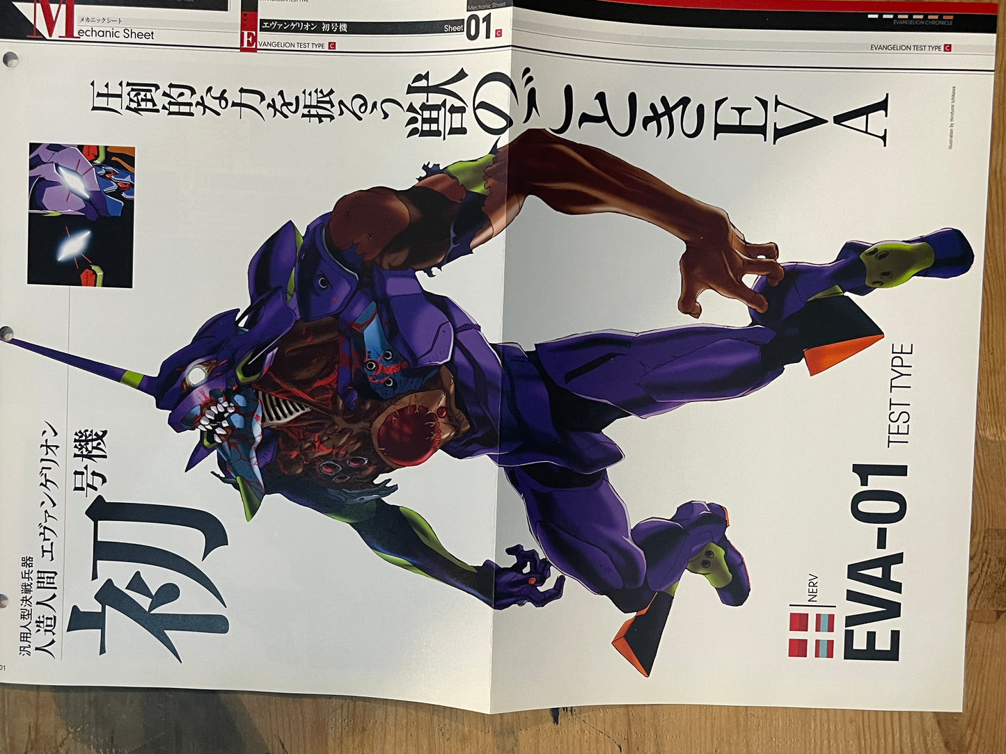 EVANGELION CHRONICLE Revised Vol.25 (2010) – Japan Anime Mook｜Neon Genesis Evangelion
