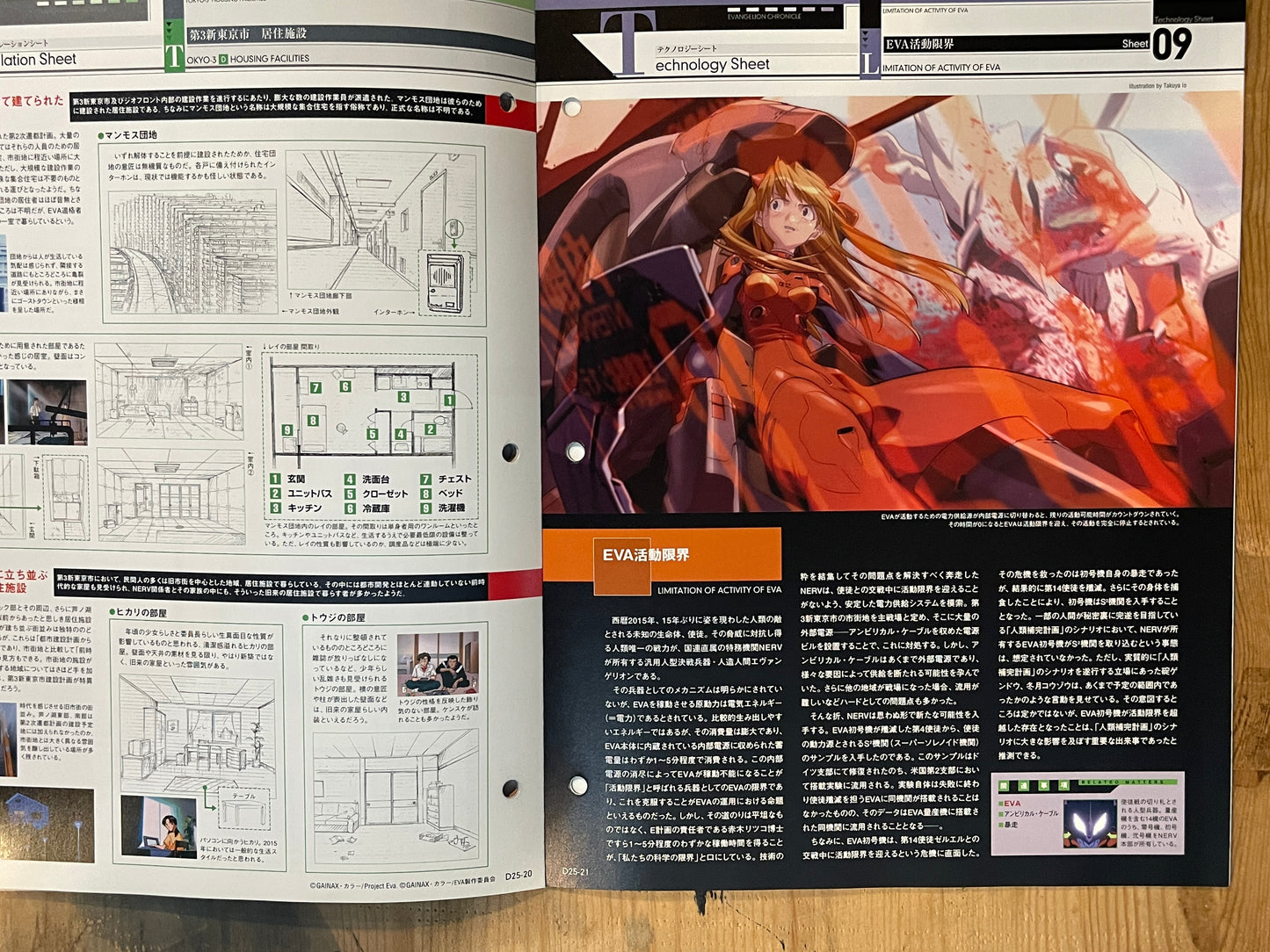 EVANGELION CHRONICLE Revised Vol.25 (2010) – Japan Anime Mook｜Neon Genesis Evangelion