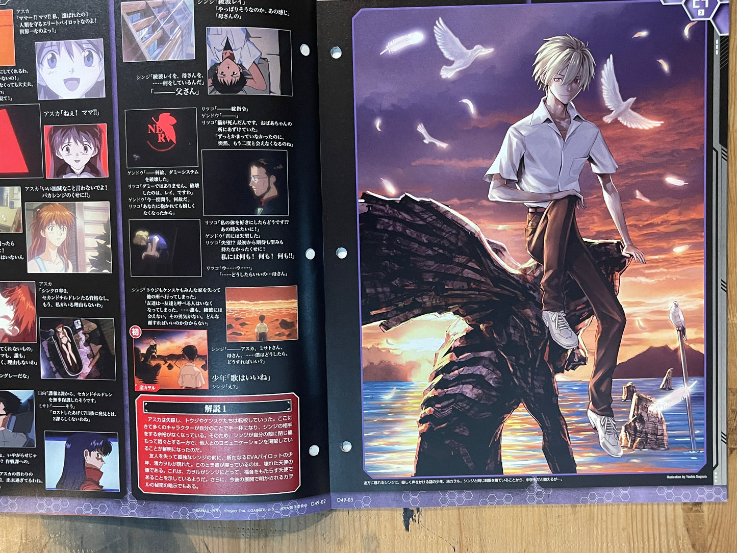 EVANGELION CHRONICLE Revised Vol.49 (2011) – Japan Anime Mook｜Neon Genesis Evangelion