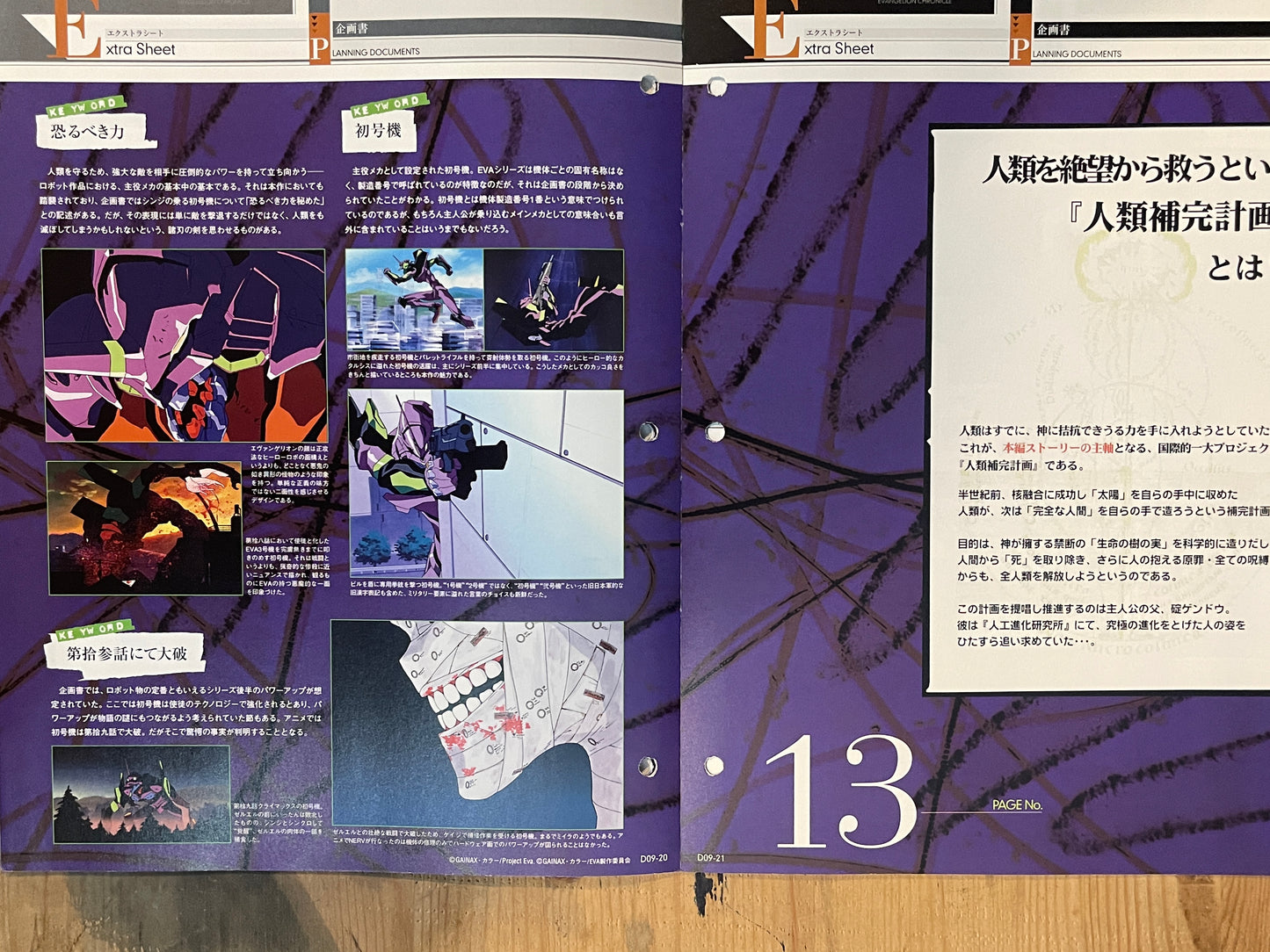 EVANGELION CHRONICLE Revised Vol.9 (2010) – Japan Anime Mook｜Neon Genesis Evangelion