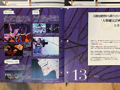 EVANGELION CHRONICLE Revised Vol.9 (2010) – Japan Anime Mook｜Neon Genesis Evangelion