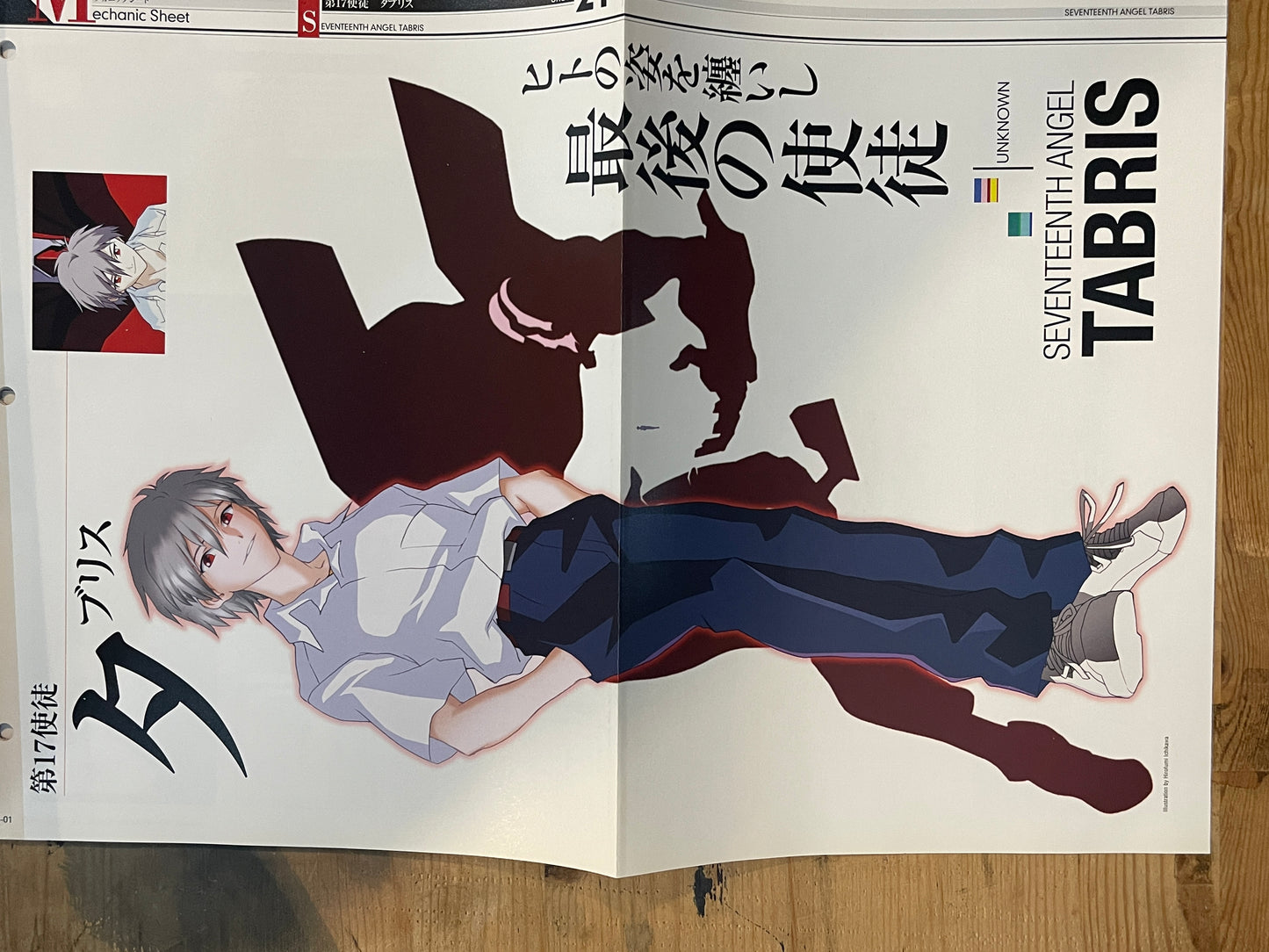 EVANGELION CHRONICLE Revised Vol.13 (2010) – Japan Anime Mook｜Neon Genesis Evangelion