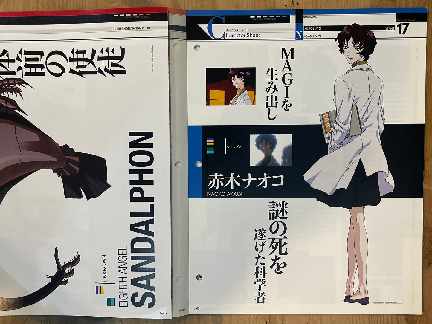 EVANGELION CHRONICLE Vol.16 – Japan Edition | Neon Genesis Eva Rare | Japanese Magazine