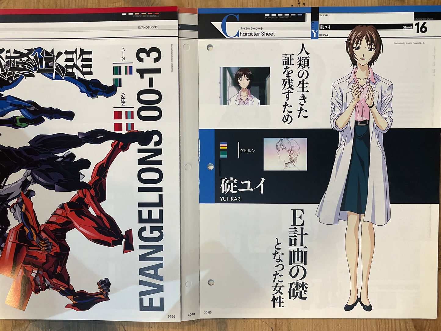EVANGELION CHRONICLE Issue 30 (Japanese Edition) | Neon Genesis Evangelion Encyclopedia EVANGELION CHRONICLE Magazine Vol.30 – Japan Edition | Neon Genesis Eva Rare | Japanese Magazine