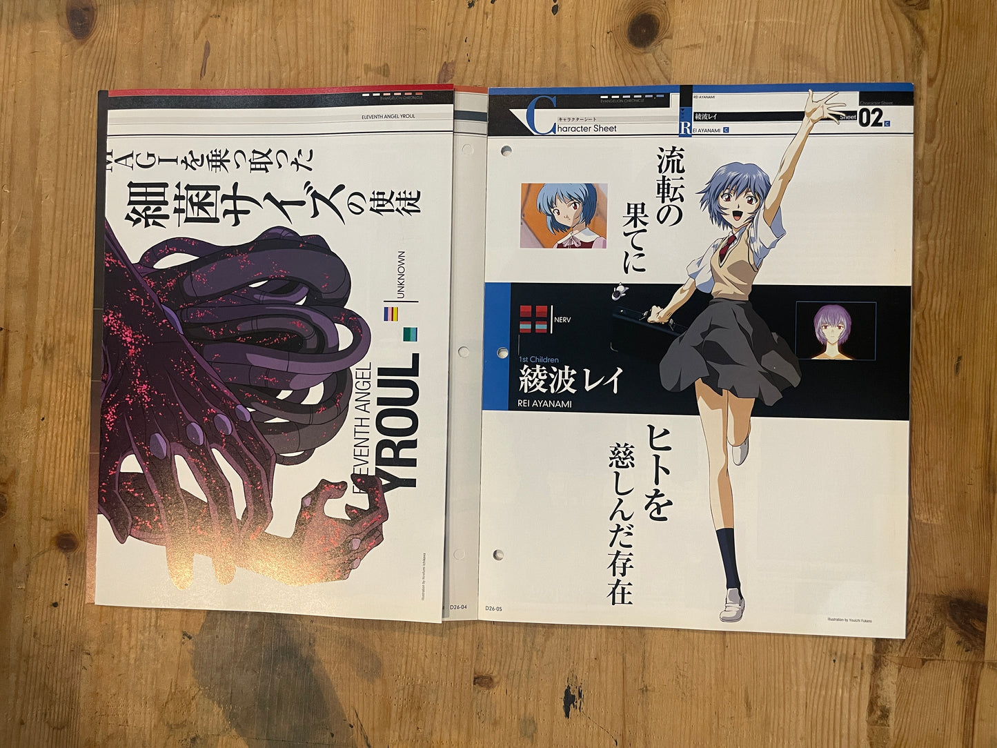 EVANGELION CHRONICLE Revised Vol.26 – 2010 Japan Edition | Anime Mook｜Japanese Magazine