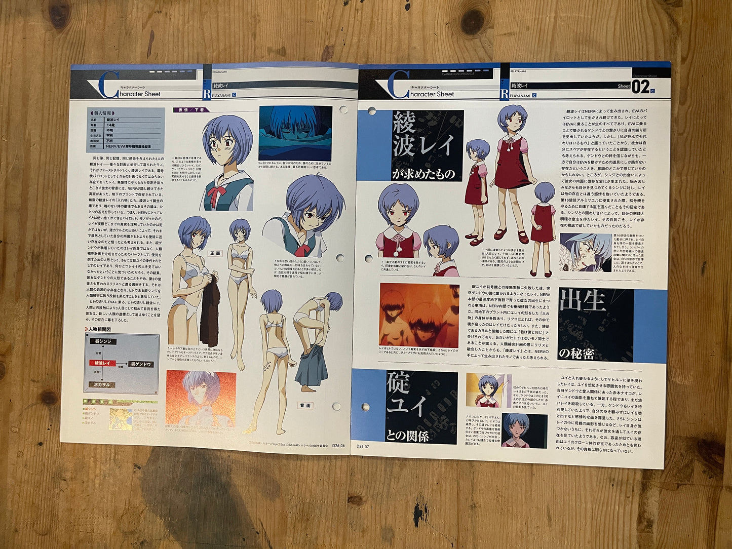 EVANGELION CHRONICLE Revised Vol.26 – 2010 Japan Edition | Anime Mook｜Japanese Magazine