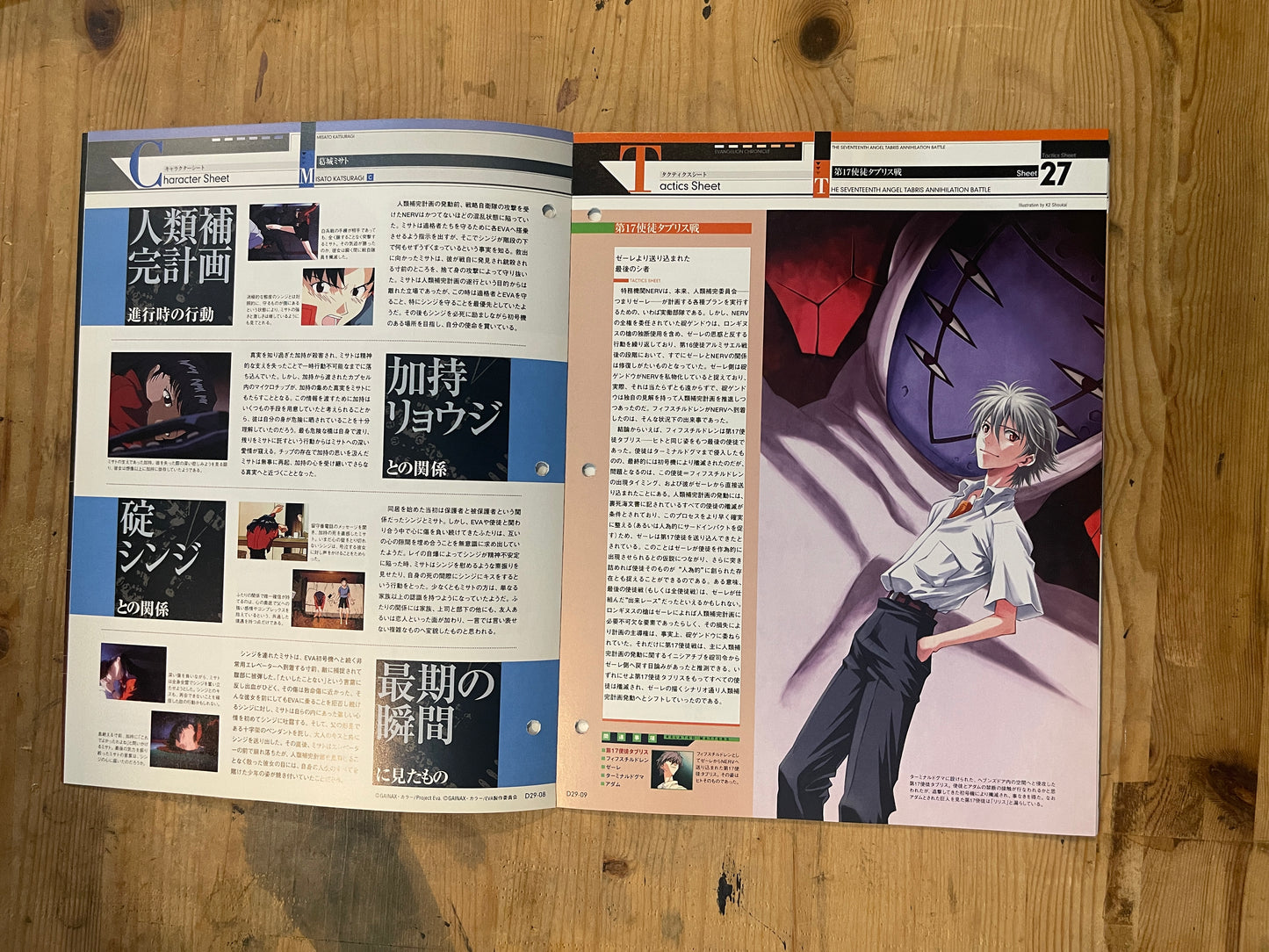 EVANGELION CHRONICLE Revised Vol.29 – 2010 Japan Edition | Anime Mook｜Japanese Magazine