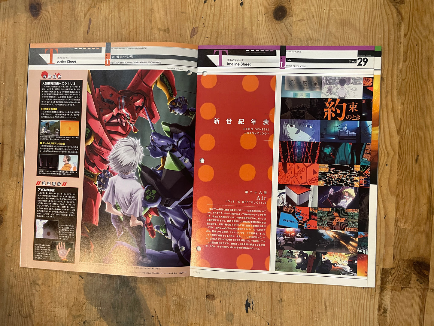 EVANGELION CHRONICLE Revised Vol.29 – 2010 Japan Edition | Anime Mook｜Japanese Magazine