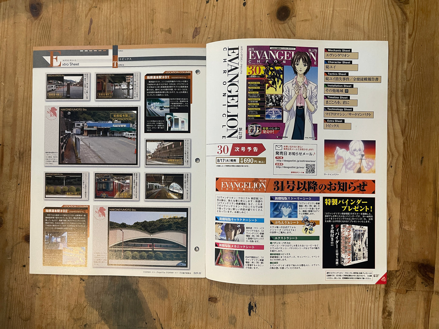 EVANGELION CHRONICLE Revised Vol.29 – 2010 Japan Edition | Anime Mook｜Japanese Magazine