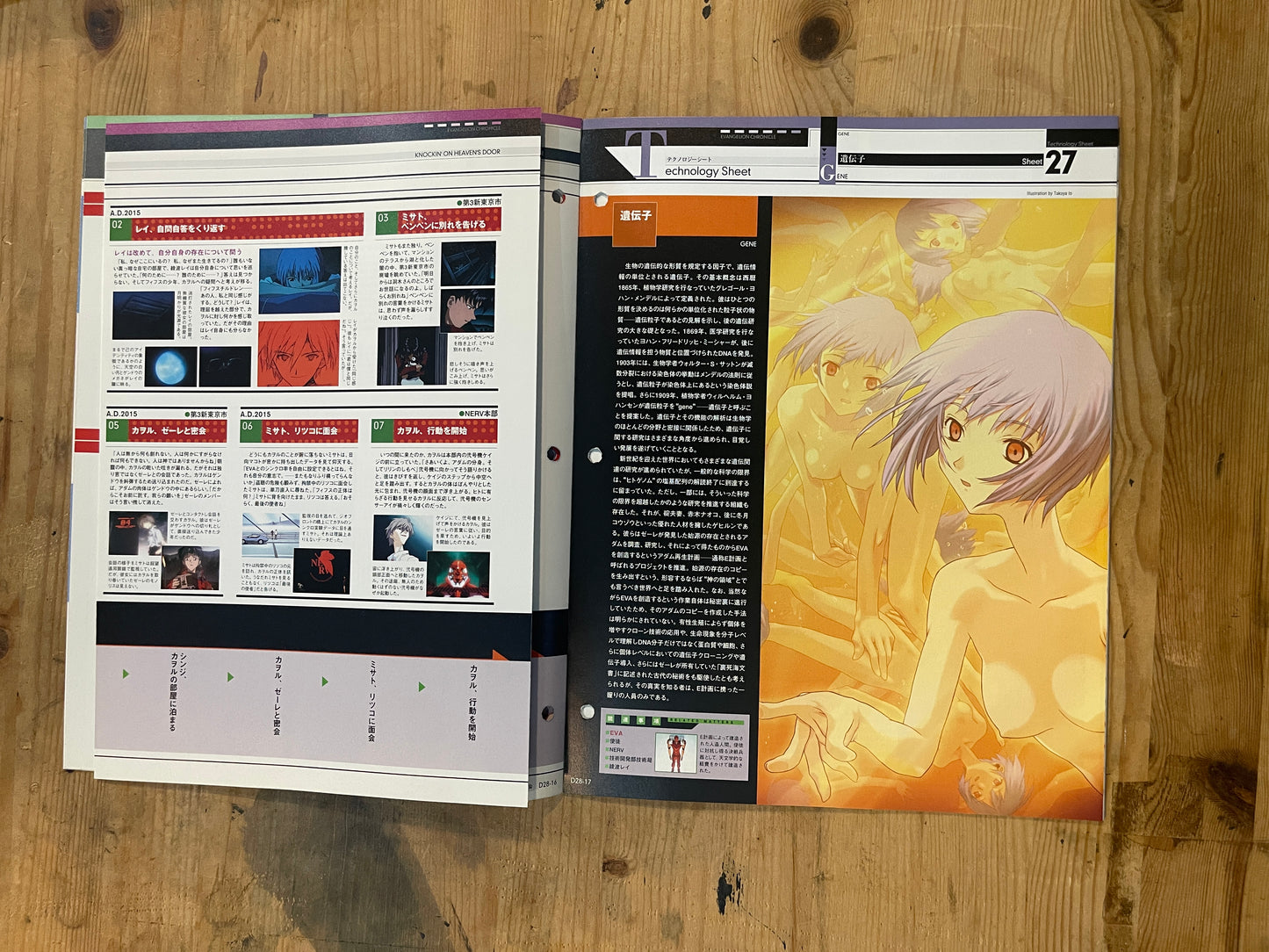 EVANGELION CHRONICLE Revised Vol.28 – 2010 Japan Edition | Anime Mook｜Japanese Magazine