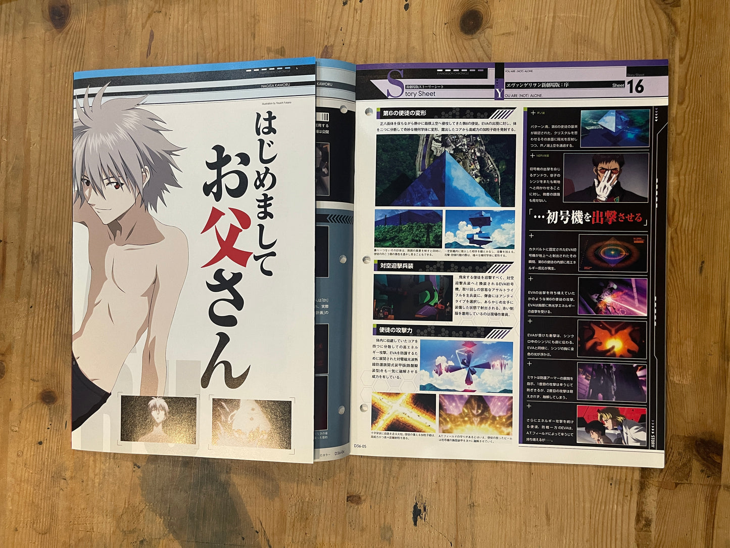 EVANGELION CHRONICLE Revised Vol.36 – 2010 Japan Edition | Anime Mook｜Japanese Magazine