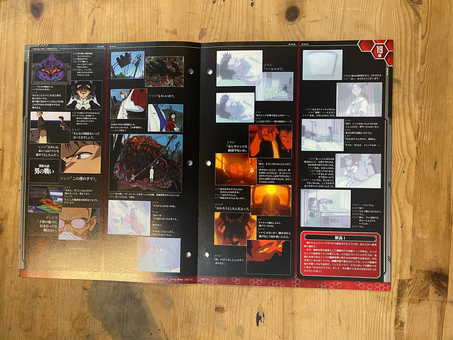 EVANGELION CHRONICLE Revised Vol.47 – 2010 Japan Edition | Anime Mook｜Japanese Magazine