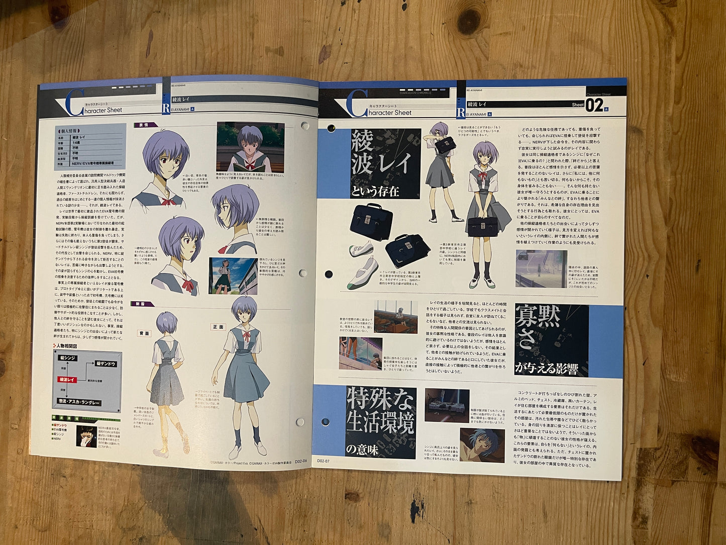 EVANGELION CHRONICLE Revised Vol.2 – 2010 Japan Edition | Anime Mook | Japanese Magazine