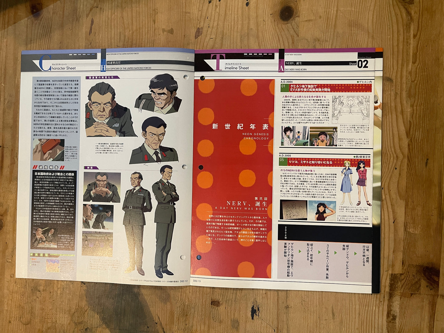 EVANGELION CHRONICLE Revised Vol.2 – 2010 Japan Edition | Anime Mook | Japanese Magazine