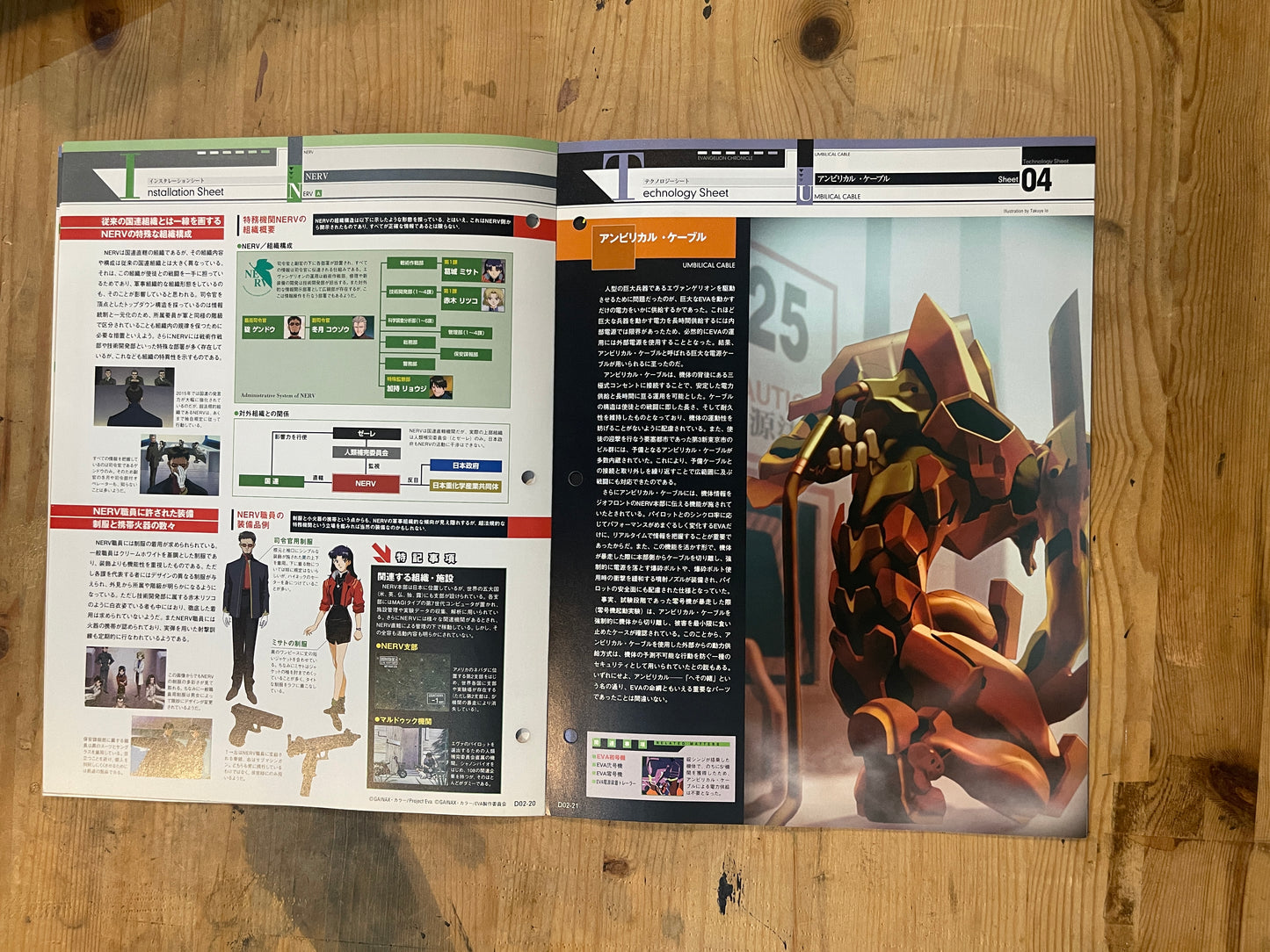 EVANGELION CHRONICLE Revised Vol.2 – 2010 Japan Edition | Anime Mook | Japanese Magazine