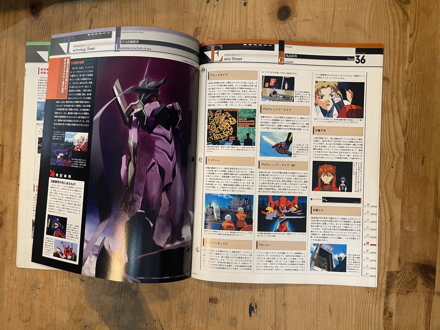 EVANGELION CHRONICLE – Issue No.25 – Japan Edition | Neon Genesis Evangelion Rare Magazine｜Japanese Magazine