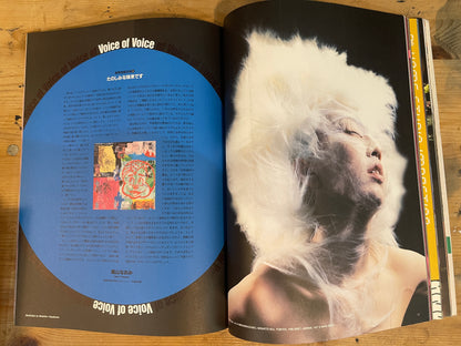 STUDIO VOICE January 2001 No.301 "Visual Quest: From Music Clips to Video Art" | Japanese Magazine