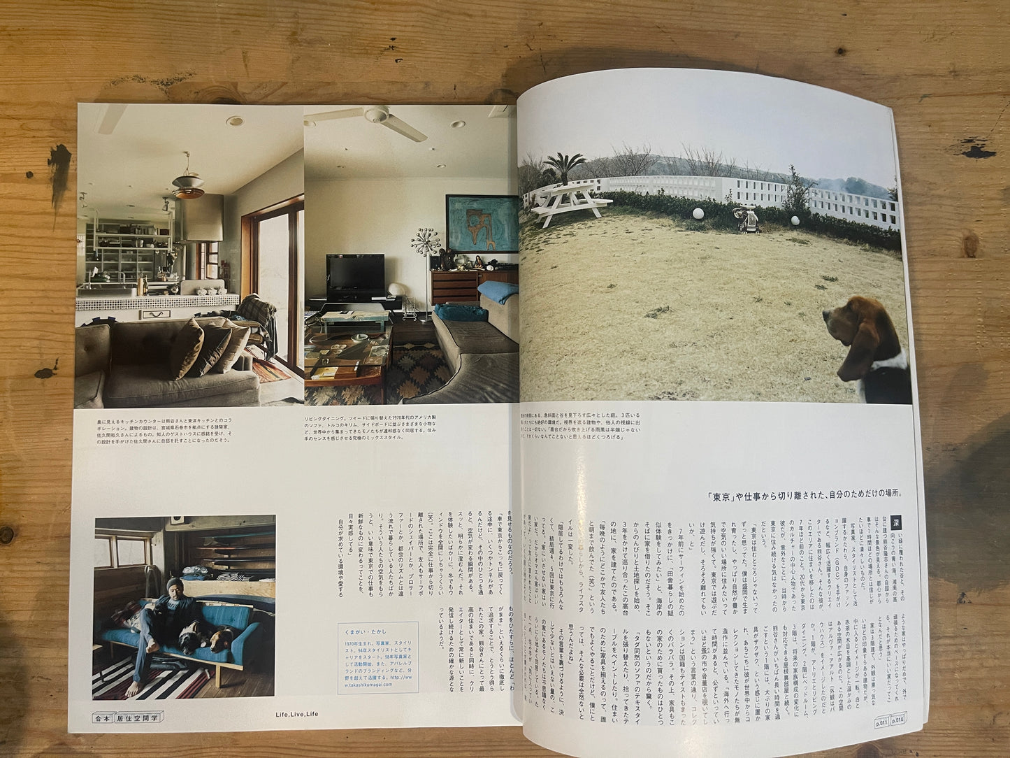 BRUTUS Special Edition: JYUKYO KUKAN GAKU | Japanese Magazine