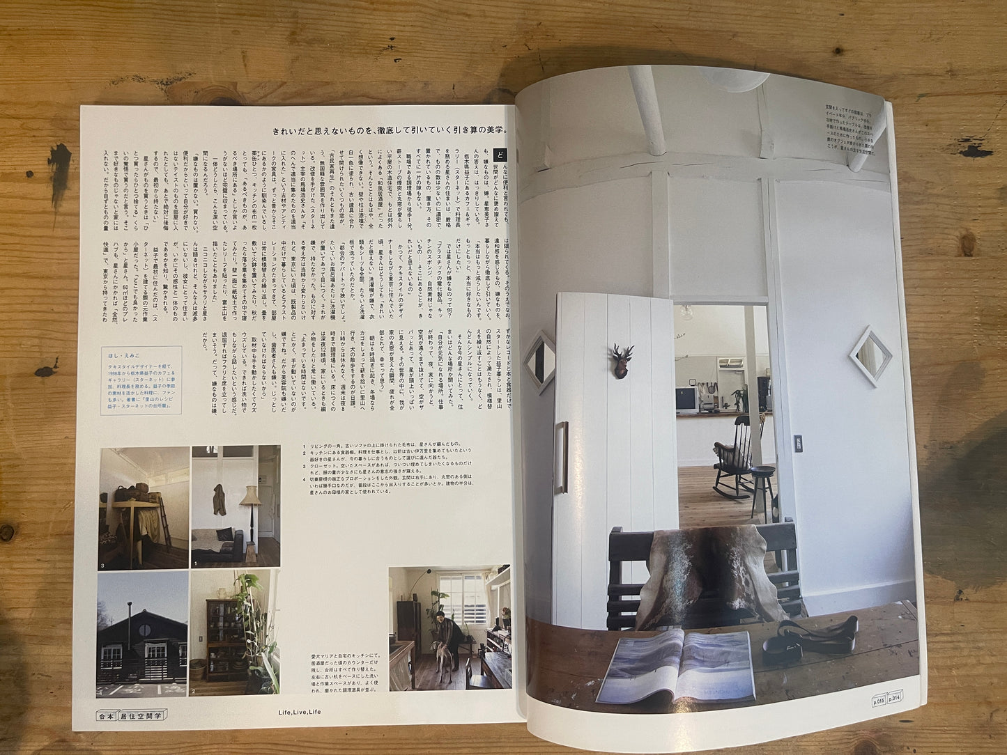 BRUTUS Special Edition: JYUKYO KUKAN GAKU | Japanese Magazine