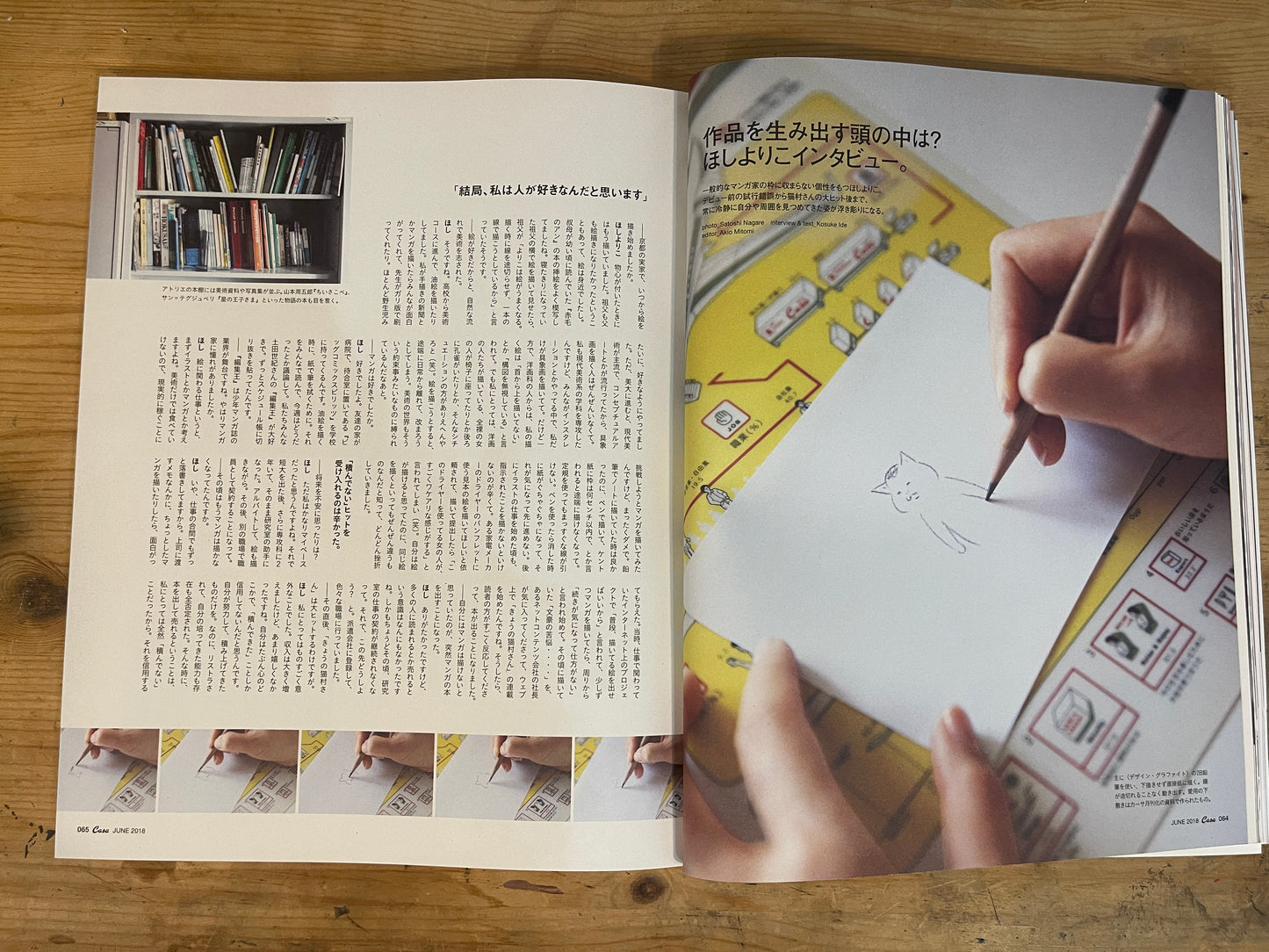 Casa BRUTUS（カーサ ブルータス）2018年6月号 第219号 – 猫村さんとほしよりこ｜Casa BRUTUS June 2018 Issue No.219 – Nekomura-san and Yoriko Hoshi｜デザイン＆ライフスタイル誌