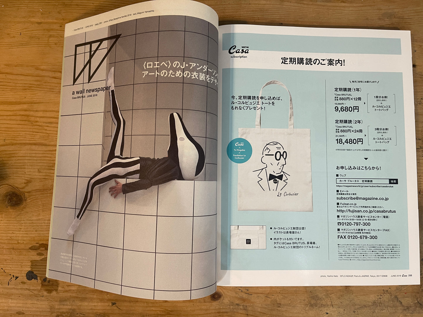 Casa BRUTUS（カーサ ブルータス）2018年6月号 第219号 – 猫村さんとほしよりこ｜Casa BRUTUS June 2018 Issue No.219 – Nekomura-san and Yoriko Hoshi｜デザイン＆ライフスタイル誌