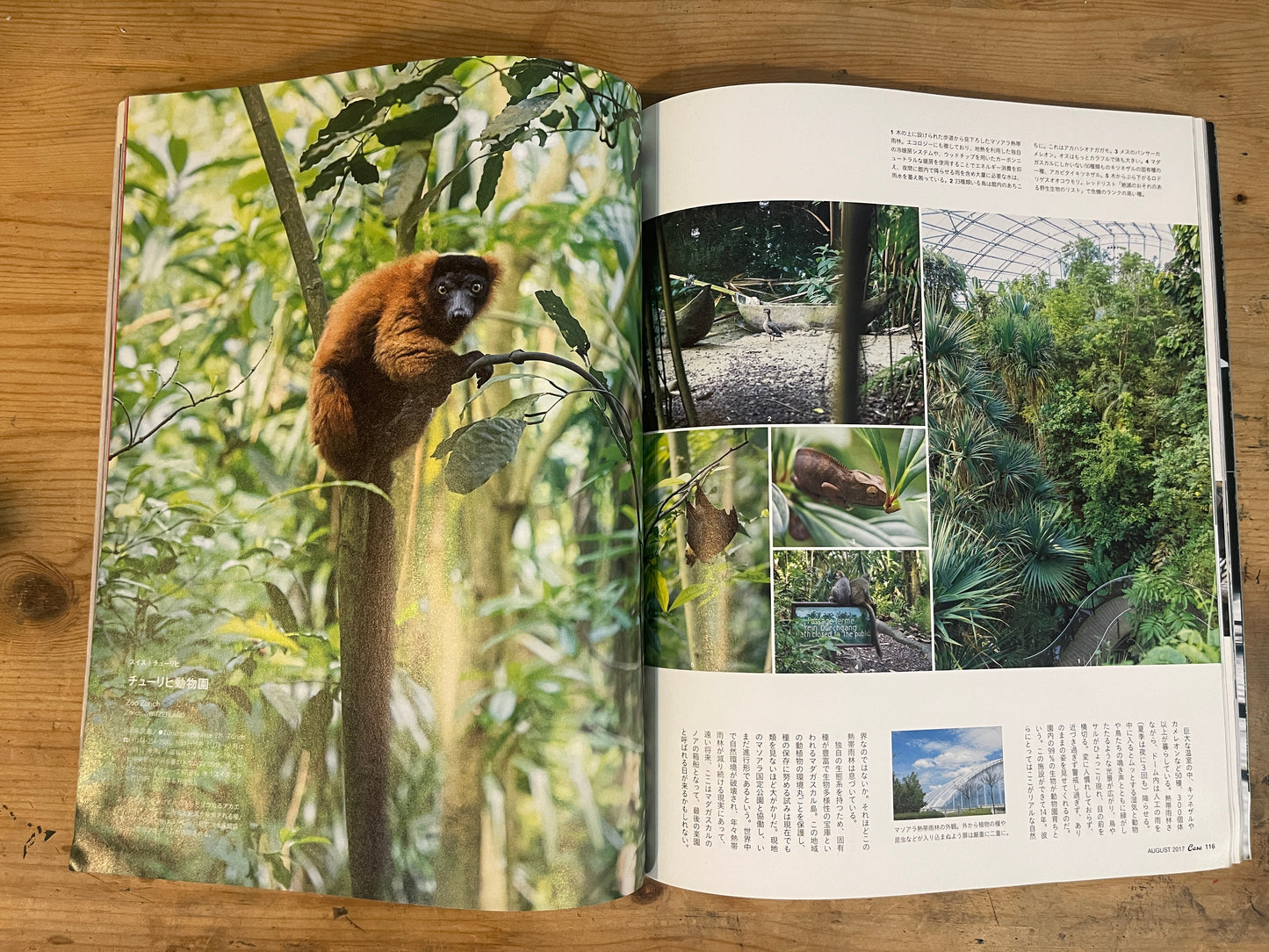 Casa BRUTUS（カーサ ブルータス） 2017年8月号 第209号 – センスオブワンダーに出会える！動物園と水族館｜Casa BRUTUS August 2017 Issue No.209 – Discovering the Sense of Wonder! Zoos and Aquariums｜デザイン＆ライフスタイル誌