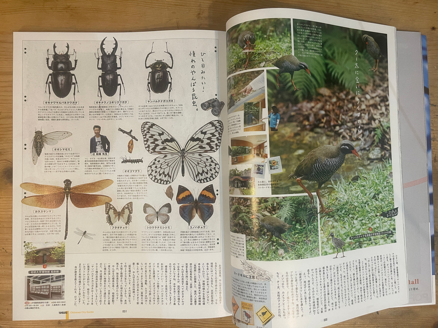 POPEYE（ポパイ）2022年7月号 903 僕の沖縄地図。CITY GUIDE in OKINAWA POPEYE July 2022 Issue 903 My Okinawa Map｜Japanese Magazine