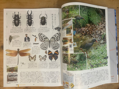 POPEYE（ポパイ）2022年7月号 903 僕の沖縄地図。CITY GUIDE in OKINAWA POPEYE July 2022 Issue 903 My Okinawa Map｜Japanese Magazine