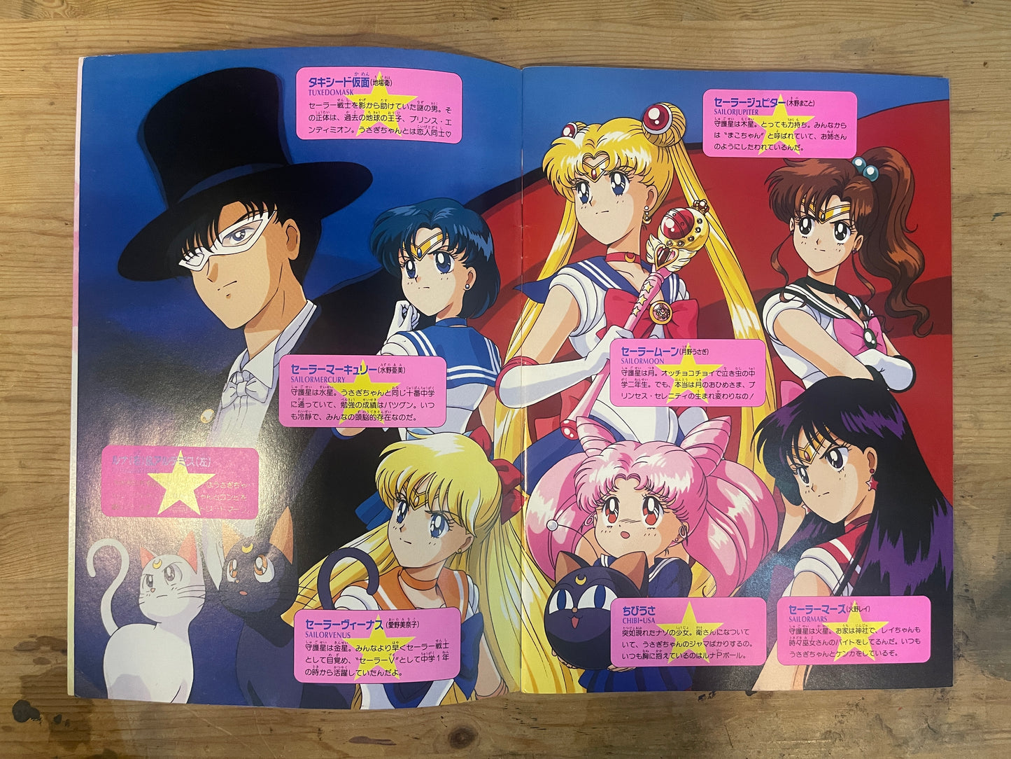 映画 美少女戦士セーラームーンR／メイクアップ！セーラー戦士／ツヨシしっかりしなさい 映画パンフレット 1993年｜Sailor Moon R Movie Pamphlet 1993 / Make Up! Sailor Soldiers / Tsuyoshi, Stay Strong
