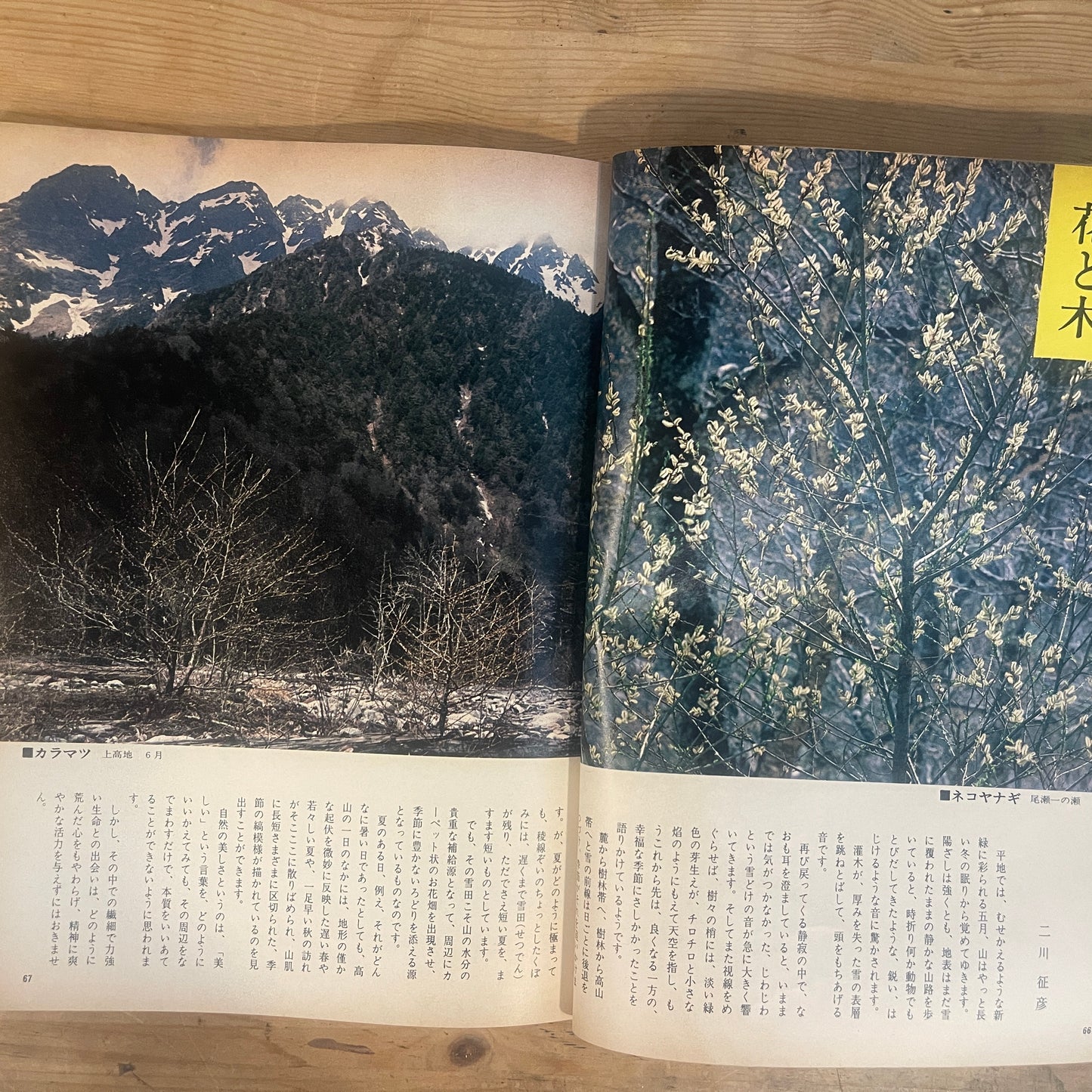【昭和レトロ】暮しの手帖 60号 1979年 夏号 レトロな暮らしの知恵 古雑誌 / Vintage "Kurashi no Techo" Magazine No. 60, 1979 Summer Issue - Retro Japanese Lifestyle Guide