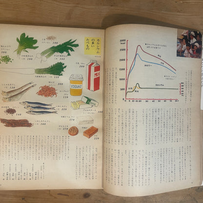 【昭和レトロ】暮しの手帖 99号 1985年 冬号 レトロな暮らしの知恵 古雑誌 / Vintage "Kurashi no Techo" Magazine No. 99, 1985 Winter Issue - Retro Japanese Lifestyle Guide