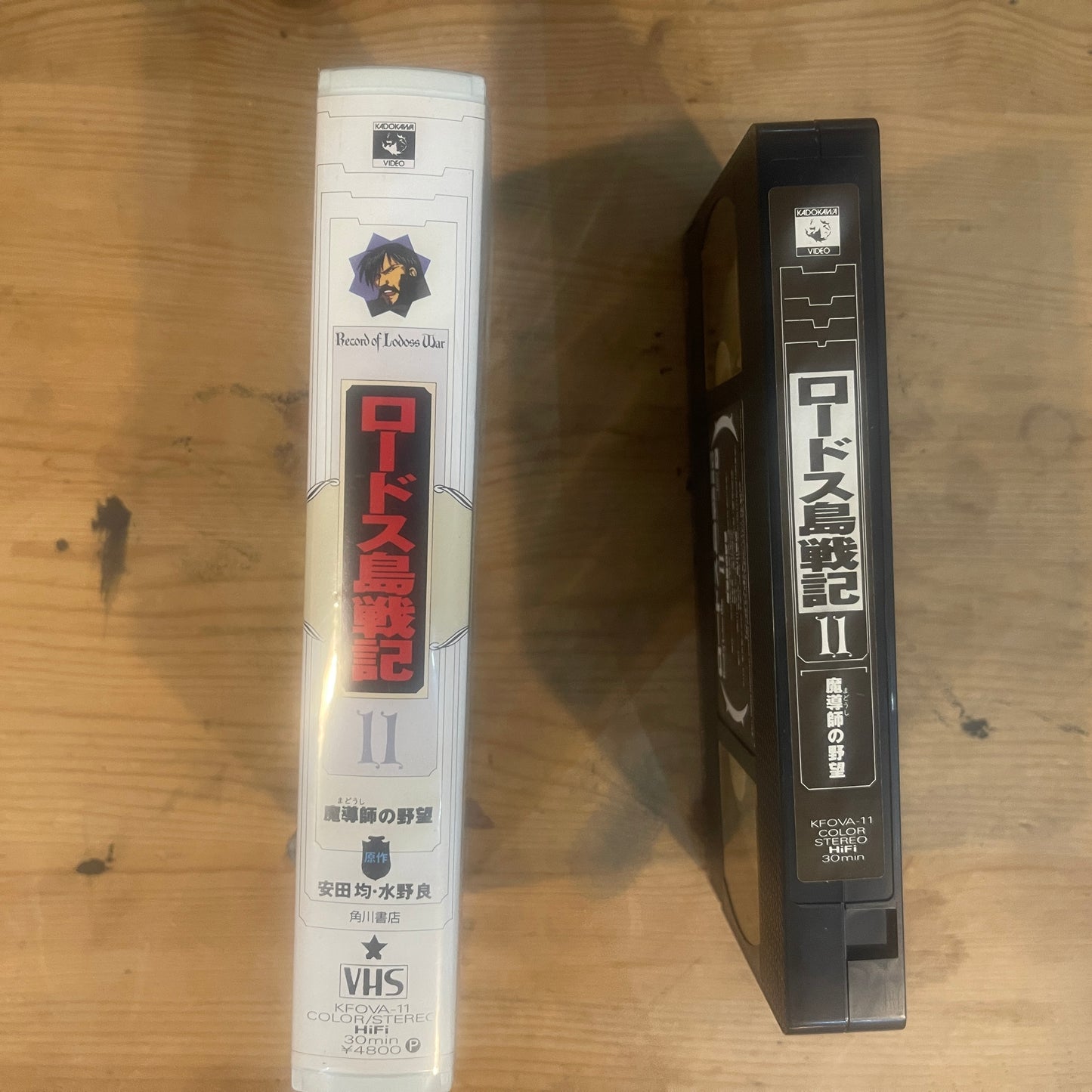 【レア/未確認】ロードス島戦記 OVA VHS 第11巻 「魔道師の野望」 / Record of Lodoss War OVA Vol. 11 "The Wizard's Ambition" - UNTESTED